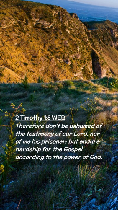 Picture 02 - 2 Timothy 1:8 WEB Mobile Phone Wallpaper - Therefore don't be ashamed of the testimony of - Mobile Bible Verse Wallpaper