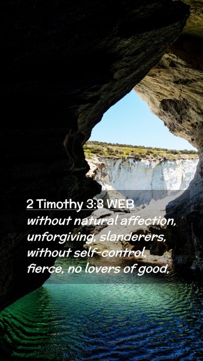 Picture 02 - 2 Timothy 3:3 WEB Mobile Phone Wallpaper - without natural affection, unforgiving, - Mobile Bible Verse Wallpaper