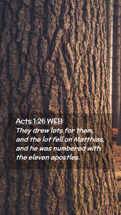 Picture 02 - Acts 1:26 WEB Mobile Phone Wallpaper - They drew lots for them, and the lot fell on - Mobile Bible Verse Wallpaper