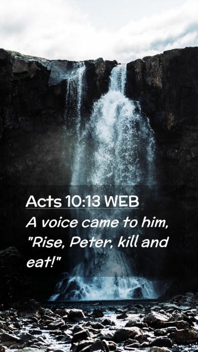 Picture 02 - Acts 10:13 WEB Mobile Phone Wallpaper - A voice came to him, 