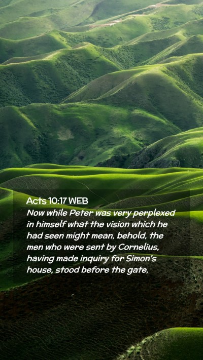 Picture 02 - Acts 10:17 WEB Mobile Phone Wallpaper - Now while Peter was very perplexed in himself - Mobile Bible Verse Wallpaper