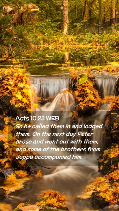 Picture 02 - Acts 10:23 WEB Mobile Phone Wallpaper - So he called them in and lodged them. On the next - Mobile Bible Verse Wallpaper