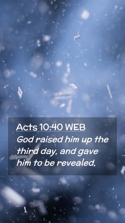 Picture 02 - Acts 10:40 WEB Mobile Phone Wallpaper - God raised him up the third day, and gave him to - Mobile Bible Verse Wallpaper