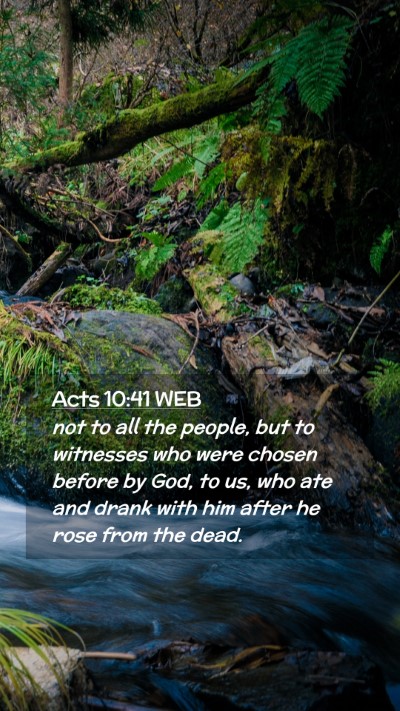 Picture 02 - Acts 10:41 WEB Mobile Phone Wallpaper - not to all the people, but to witnesses who were - Mobile Bible Verse Wallpaper