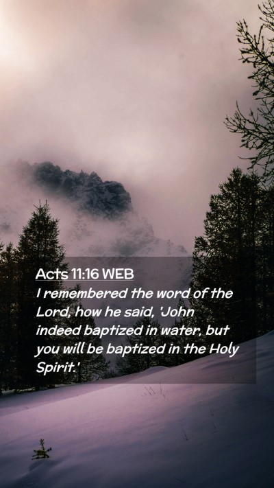 Picture 02 - Acts 11:16 WEB Mobile Phone Wallpaper - I remembered the word of the Lord, how he said, - Mobile Bible Verse Wallpaper