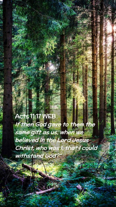 Picture 02 - Acts 11:17 WEB Mobile Phone Wallpaper - If then God gave to them the same gift as us, - Mobile Bible Verse Wallpaper
