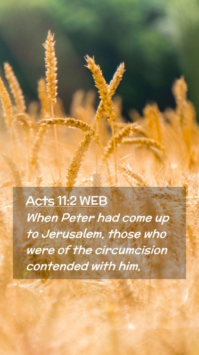 Picture 02 - Acts 11:2 WEB Mobile Phone Wallpaper - When Peter had come up to Jerusalem, those who - Mobile Bible Verse Wallpaper