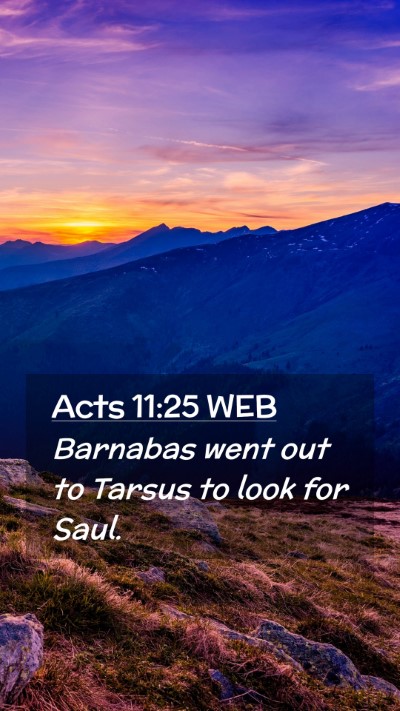 Picture 02 - Acts 11:25 WEB Mobile Phone Wallpaper - Barnabas went out to Tarsus to look for - Mobile Bible Verse Wallpaper
