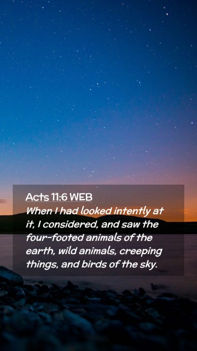 Picture 02 - Acts 11:6 WEB Mobile Phone Wallpaper - When I had looked intently at it, I considered, - Mobile Bible Verse Wallpaper