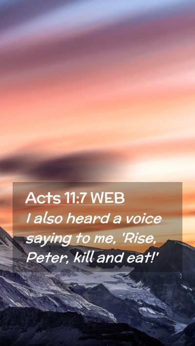 Picture 02 - Acts 11:7 WEB Mobile Phone Wallpaper - I also heard a voice saying to me, 'Rise, Peter, - Mobile Bible Verse Wallpaper