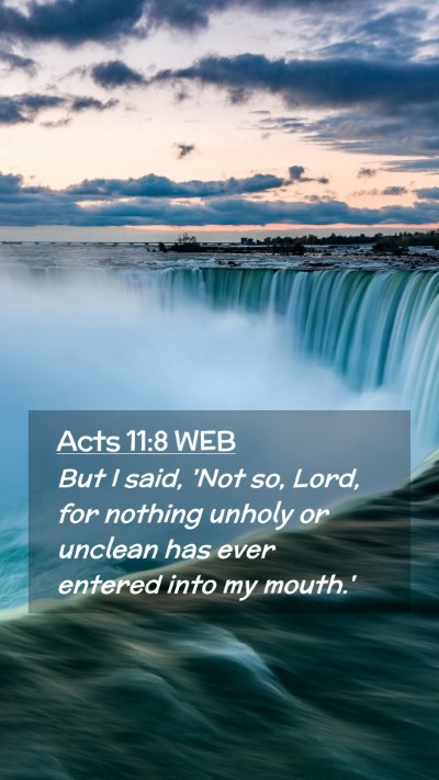 Picture 02 - Acts 11:8 WEB Mobile Phone Wallpaper - But I said, 'Not so, Lord, for nothing unholy or - Mobile Bible Verse Wallpaper