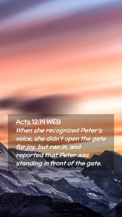 Picture 02 - Acts 12:14 WEB Mobile Phone Wallpaper - When she recognized Peter's voice, she didn't - Mobile Bible Verse Wallpaper