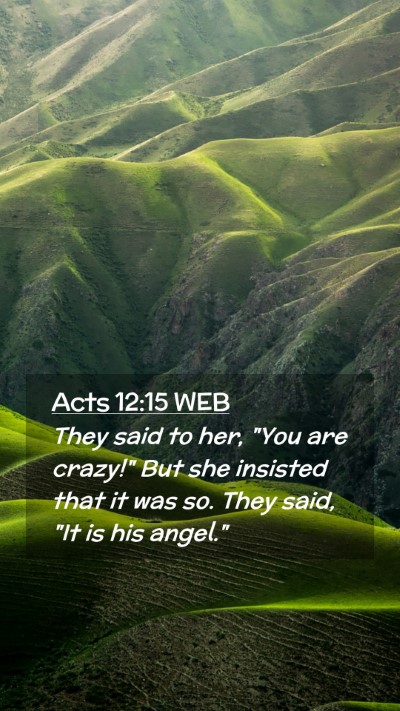Picture 02 - Acts 12:15 WEB Mobile Phone Wallpaper - They said to her, 