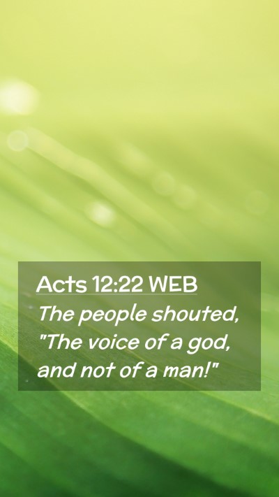 Picture 02 - Acts 12:22 WEB Mobile Phone Wallpaper - The people shouted, 