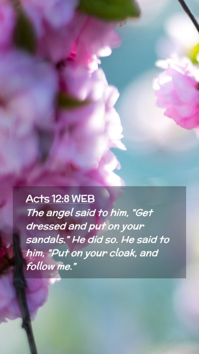 Picture 02 - Acts 12:8 WEB Mobile Phone Wallpaper - The angel said to him, 