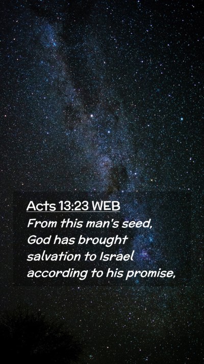 Picture 02 - Acts 13:23 WEB Mobile Phone Wallpaper - From this man's seed, God has brought salvation - Mobile Bible Verse Wallpaper