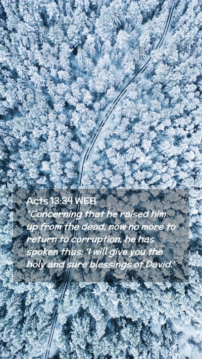 Picture 02 - Acts 13:34 WEB Mobile Phone Wallpaper - 