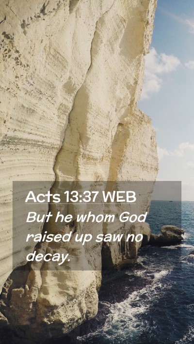 Picture 02 - Acts 13:37 WEB Mobile Phone Wallpaper - But he whom God raised up saw no - Mobile Bible Verse Wallpaper