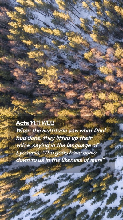 Picture 02 - Acts 14:11 WEB Mobile Phone Wallpaper - When the multitude saw what Paul had done, they - Mobile Bible Verse Wallpaper
