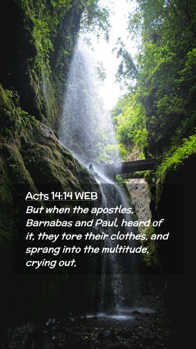 Picture 02 - Acts 14:14 WEB Mobile Phone Wallpaper - But when the apostles, Barnabas and Paul, heard - Mobile Bible Verse Wallpaper