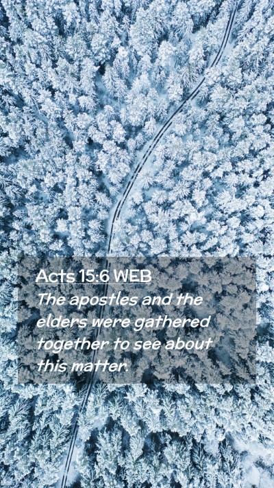 Picture 02 - Acts 15:6 WEB Mobile Phone Wallpaper - The apostles and the elders were gathered - Mobile Bible Verse Wallpaper