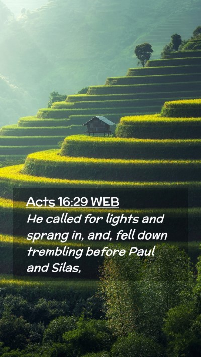 Picture 02 - Acts 16:29 WEB Mobile Phone Wallpaper - He called for lights and sprang in, and, fell - Mobile Bible Verse Wallpaper