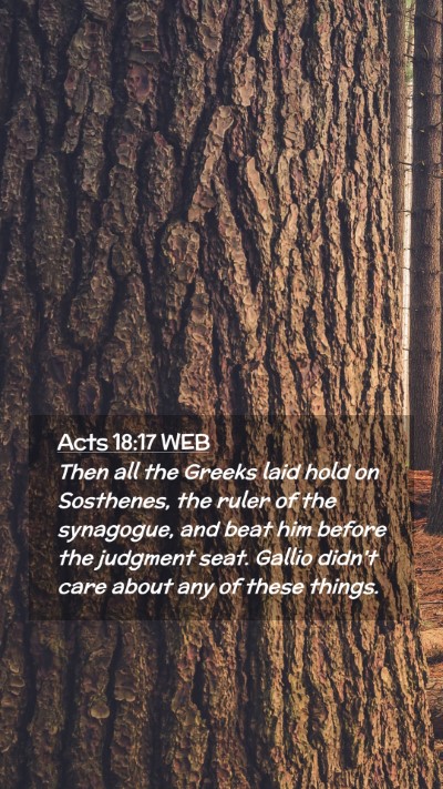 Picture 02 - Acts 18:17 WEB Mobile Phone Wallpaper - Then all the Greeks laid hold on Sosthenes, the - Mobile Bible Verse Wallpaper