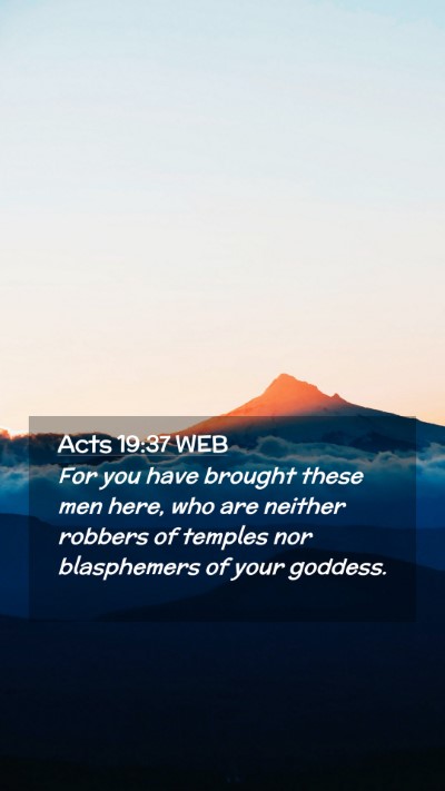 Picture 02 - Acts 19:37 WEB Mobile Phone Wallpaper - For you have brought these men here, who are - Mobile Bible Verse Wallpaper