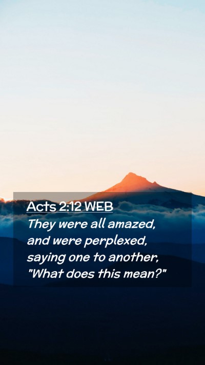 Picture 02 - Acts 2:12 WEB Mobile Phone Wallpaper - They were all amazed, and were perplexed, saying - Mobile Bible Verse Wallpaper