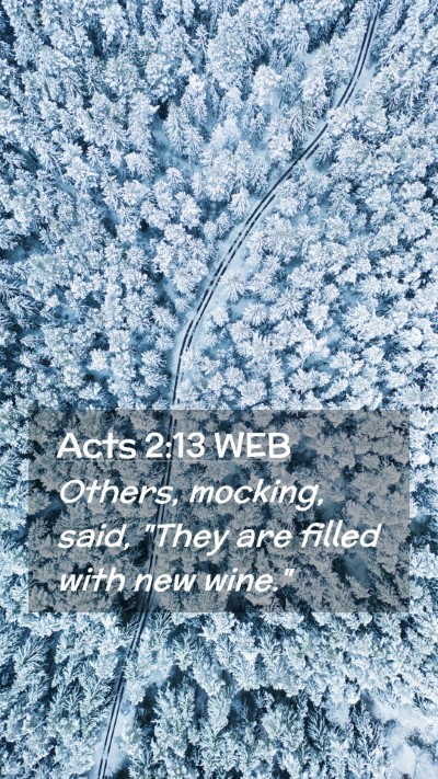 Picture 02 - Acts 2:13 WEB Mobile Phone Wallpaper - Others, mocking, said, 