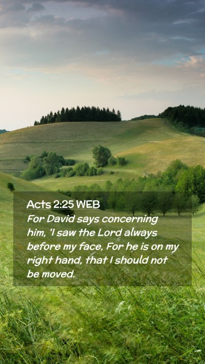 Picture 02 - Acts 2:25 WEB Mobile Phone Wallpaper - For David says concerning him, 'I saw the Lord - Mobile Bible Verse Wallpaper