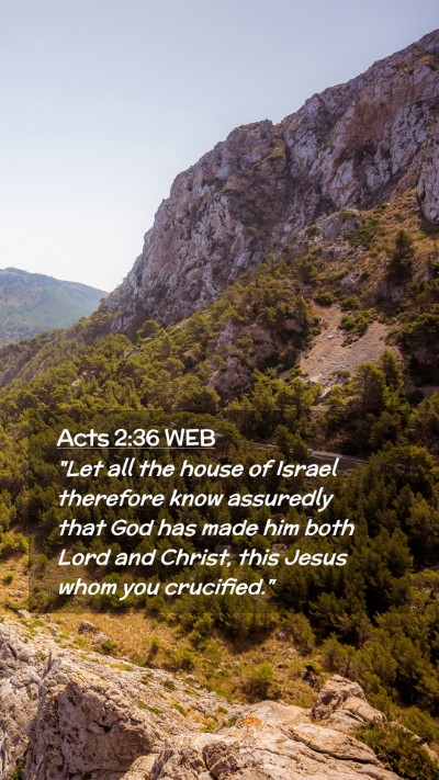 Picture 02 - Acts 2:36 WEB Mobile Phone Wallpaper - 