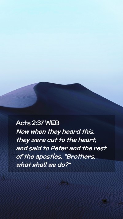 Picture 02 - Acts 2:37 WEB Mobile Phone Wallpaper - Now when they heard this, they were cut to the - Mobile Bible Verse Wallpaper