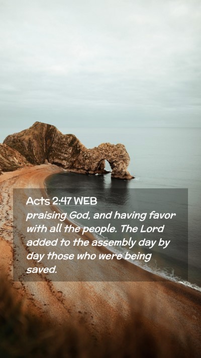 Picture 02 - Acts 2:47 WEB Mobile Phone Wallpaper - praising God, and having favor with all the - Mobile Bible Verse Wallpaper