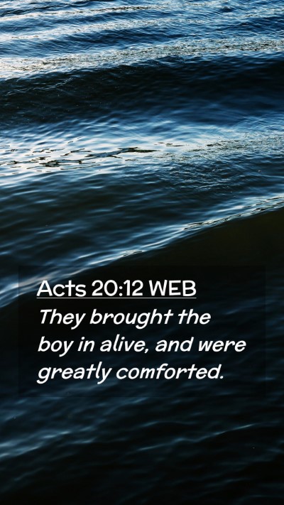 Picture 02 - Acts 20:12 WEB Mobile Phone Wallpaper - They brought the boy in alive, and were greatly - Mobile Bible Verse Wallpaper