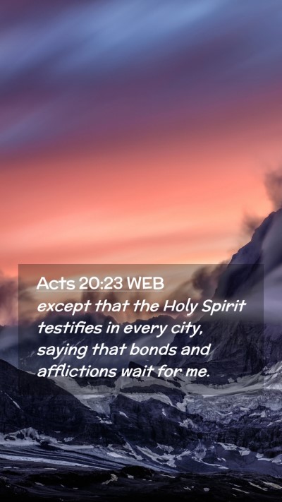 Picture 02 - Acts 20:23 WEB Mobile Phone Wallpaper - except that the Holy Spirit testifies in every - Mobile Bible Verse Wallpaper