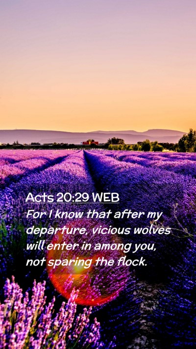 Picture 02 - Acts 20:29 WEB Mobile Phone Wallpaper - For I know that after my departure, vicious - Mobile Bible Verse Wallpaper