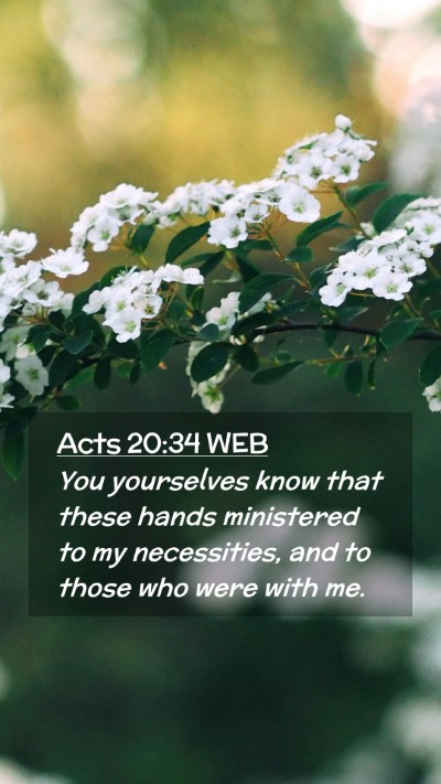 Picture 02 - Acts 20:34 WEB Mobile Phone Wallpaper - You yourselves know that these hands ministered - Mobile Bible Verse Wallpaper