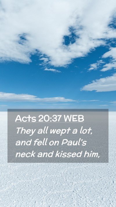 Picture 02 - Acts 20:37 WEB Mobile Phone Wallpaper - They all wept a lot, and fell on Paul's neck and - Mobile Bible Verse Wallpaper