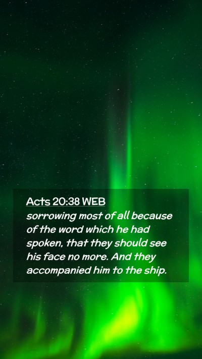 Picture 02 - Acts 20:38 WEB Mobile Phone Wallpaper - sorrowing most of all because of the word which - Mobile Bible Verse Wallpaper
