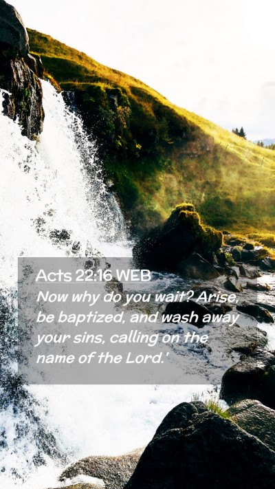 Picture 02 - Acts 22:16 WEB Mobile Phone Wallpaper - Now why do you wait? Arise, be baptized, and wash - Mobile Bible Verse Wallpaper