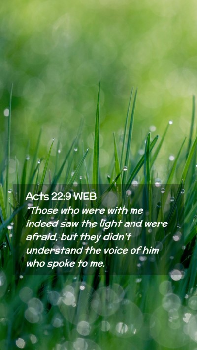 Picture 02 - Acts 22:9 WEB Mobile Phone Wallpaper - 
