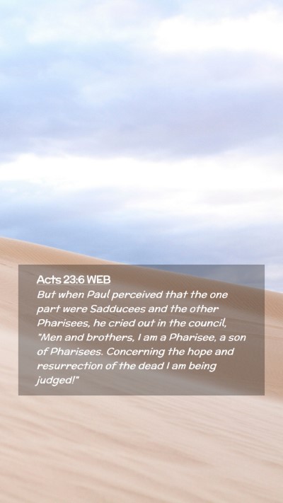 Picture 02 - Acts 23:6 WEB Mobile Phone Wallpaper - But when Paul perceived that the one part were - Mobile Bible Verse Wallpaper