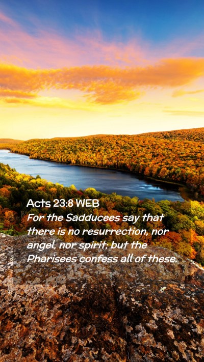 Picture 02 - Acts 23:8 WEB Mobile Phone Wallpaper - For the Sadducees say that there is no - Mobile Bible Verse Wallpaper