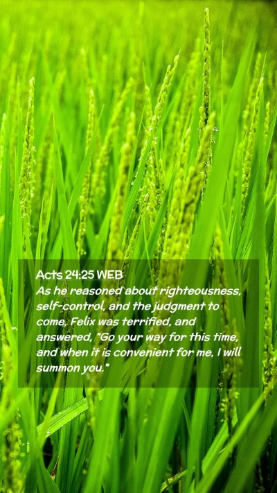 Picture 02 - Acts 24:25 WEB Mobile Phone Wallpaper - As he reasoned about righteousness, self-control, - Mobile Bible Verse Wallpaper