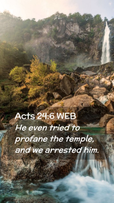 Picture 02 - Acts 24:6 WEB Mobile Phone Wallpaper - He even tried to profane the temple, and we - Mobile Bible Verse Wallpaper
