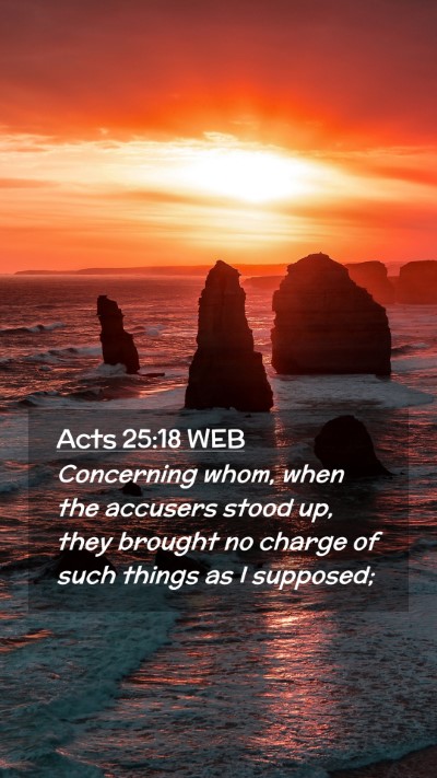 Picture 02 - Acts 25:18 WEB Mobile Phone Wallpaper - Concerning whom, when the accusers stood up, they - Mobile Bible Verse Wallpaper
