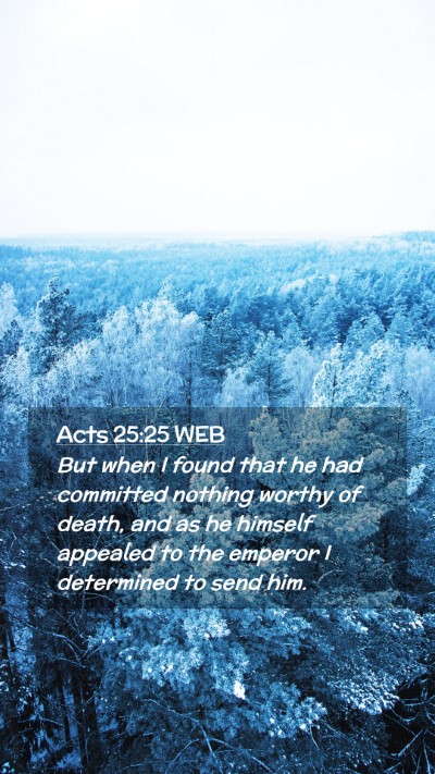 Picture 02 - Acts 25:25 WEB Mobile Phone Wallpaper - But when I found that he had committed nothing - Mobile Bible Verse Wallpaper