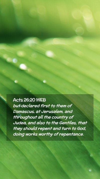Picture 02 - Acts 26:20 WEB Mobile Phone Wallpaper - but declared first to them of Damascus, at - Mobile Bible Verse Wallpaper