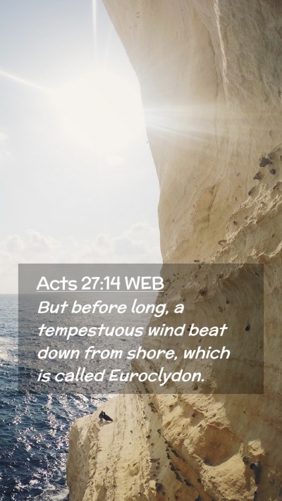 Picture 02 - Acts 27:14 WEB Mobile Phone Wallpaper - But before long, a tempestuous wind beat down - Mobile Bible Verse Wallpaper